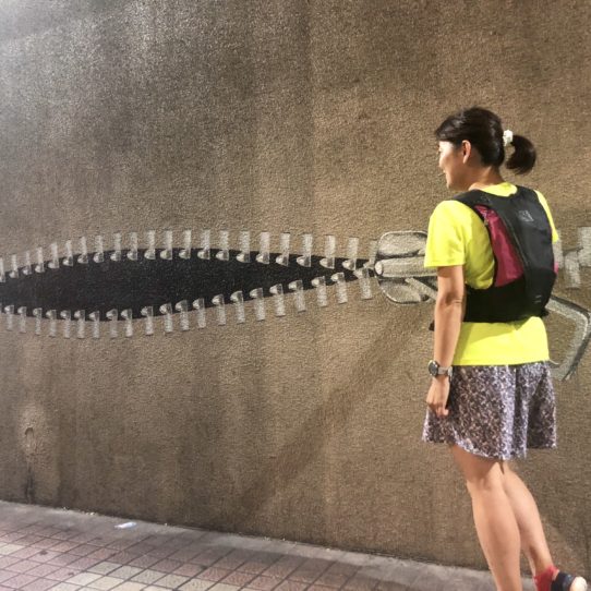 帰宅ラン ウォールアート