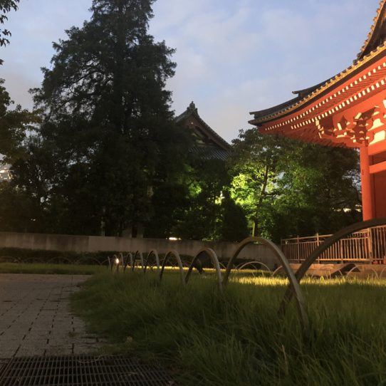 東京タワー 帰宅ラン