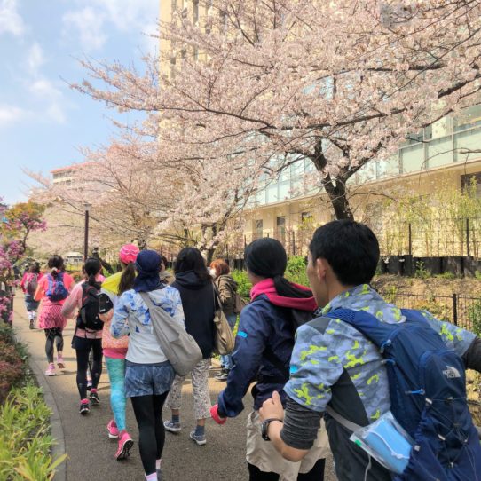 RUN+ 花巡りラン 春 街ラン